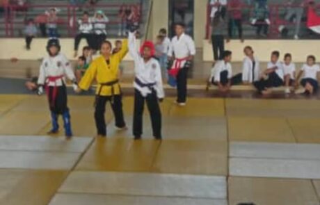 XX Campeonato Nacional Mixto