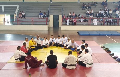 XX Campeonato Nacional Mixto