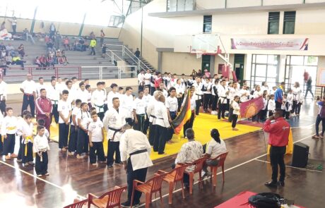 XX Campeonato Nacional Mixto