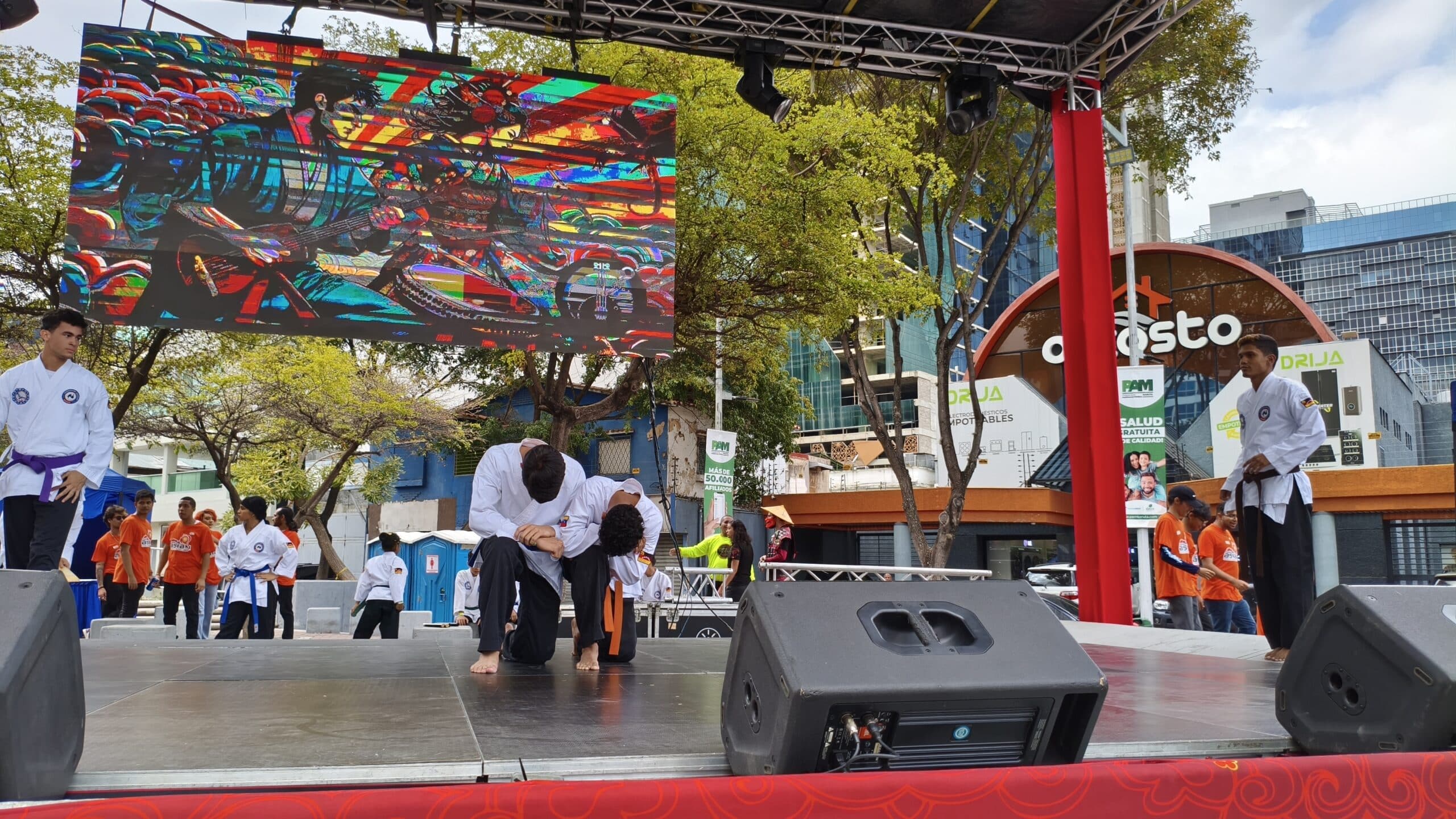 Club Hapkido Hwarang